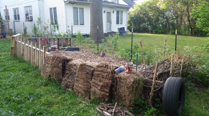 Pick a Fence, Any Fence